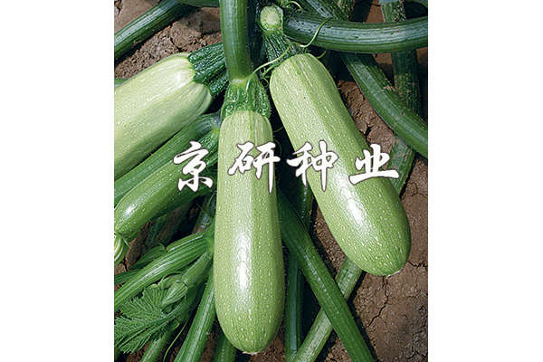 京葫1號(hào)